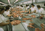 Poultry Processing Plant