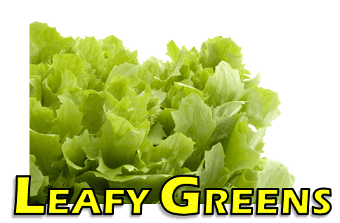 Leafy Greens Logo